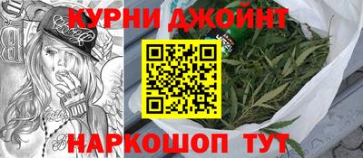 молекула духа Будённовск