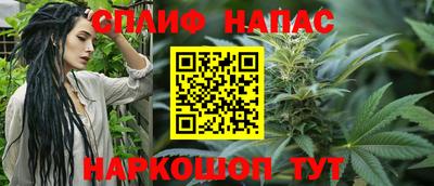 молекула духа Будённовск