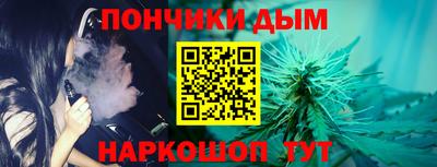молекула духа Будённовск
